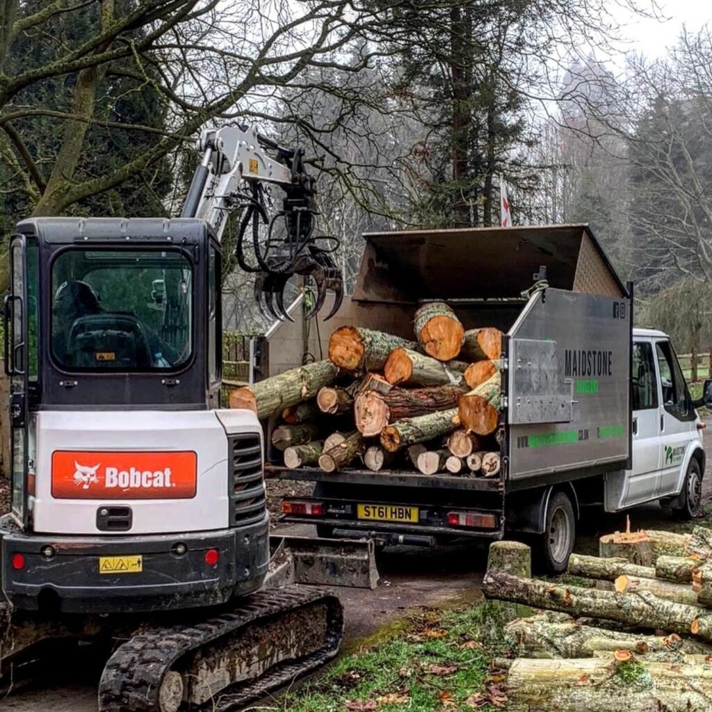 Site Clearance & Vegetation Management in Maidstone