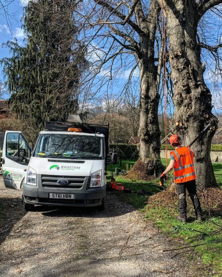 Maidstone Tree Surgeons crew and van on an emergency call-out