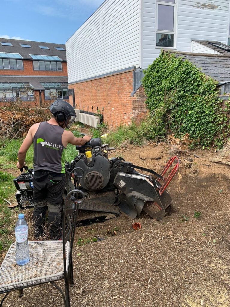 Stump grinding after a tree removal