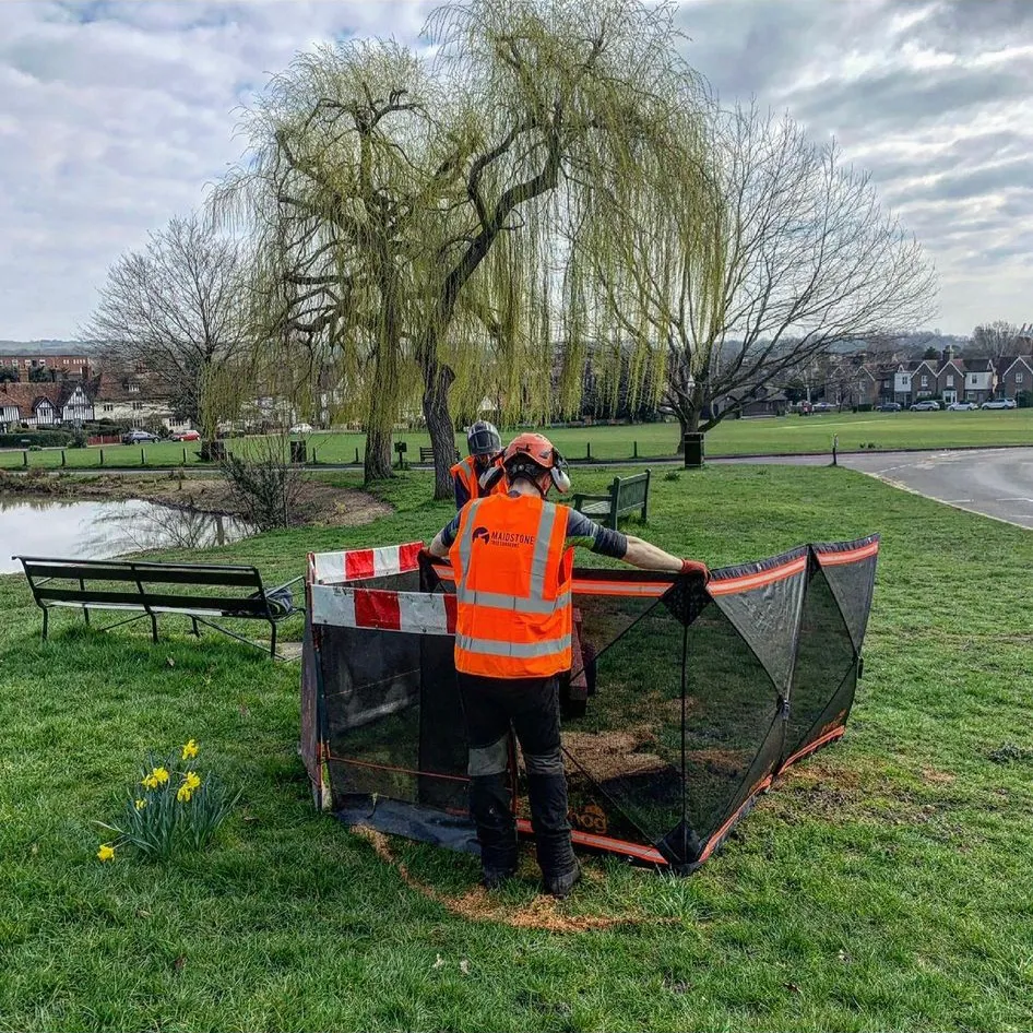 646256c6c52a8cd1a521503c_4newg