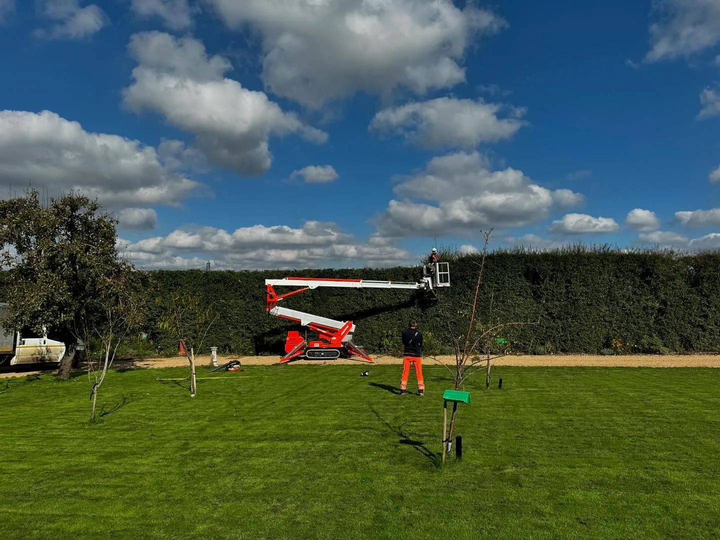 Tree Surgeons in Maidstone - Maidstone Tree Surgeons offering hedge trimming