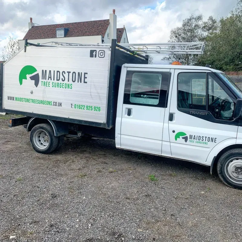 Maidstone-Tree-Surgeons-Van-p-800