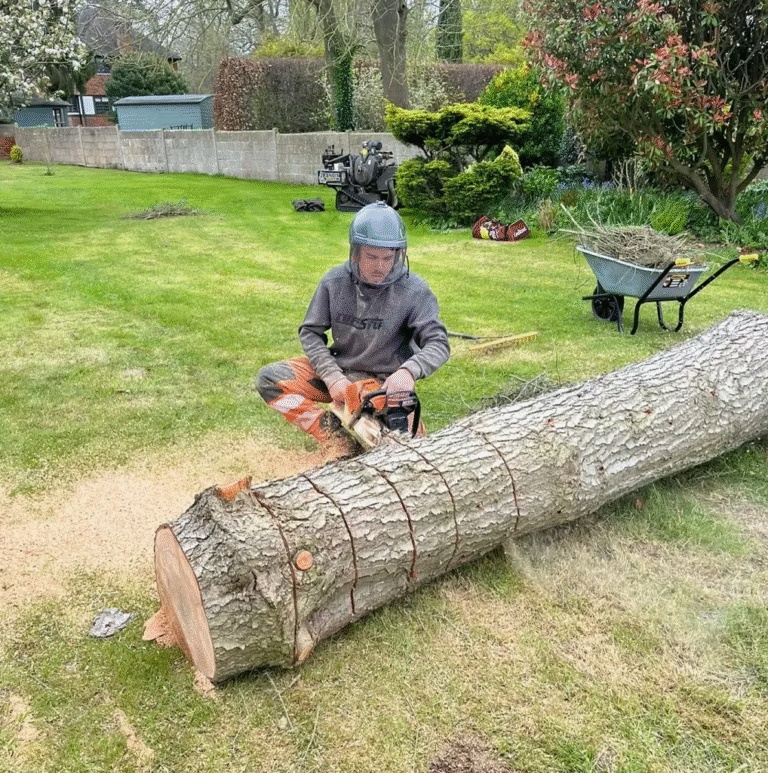 Fallen tree trunk cut up after emergency removal