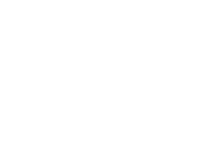 Qualified Tree Surgeons in Maidstone, Kent