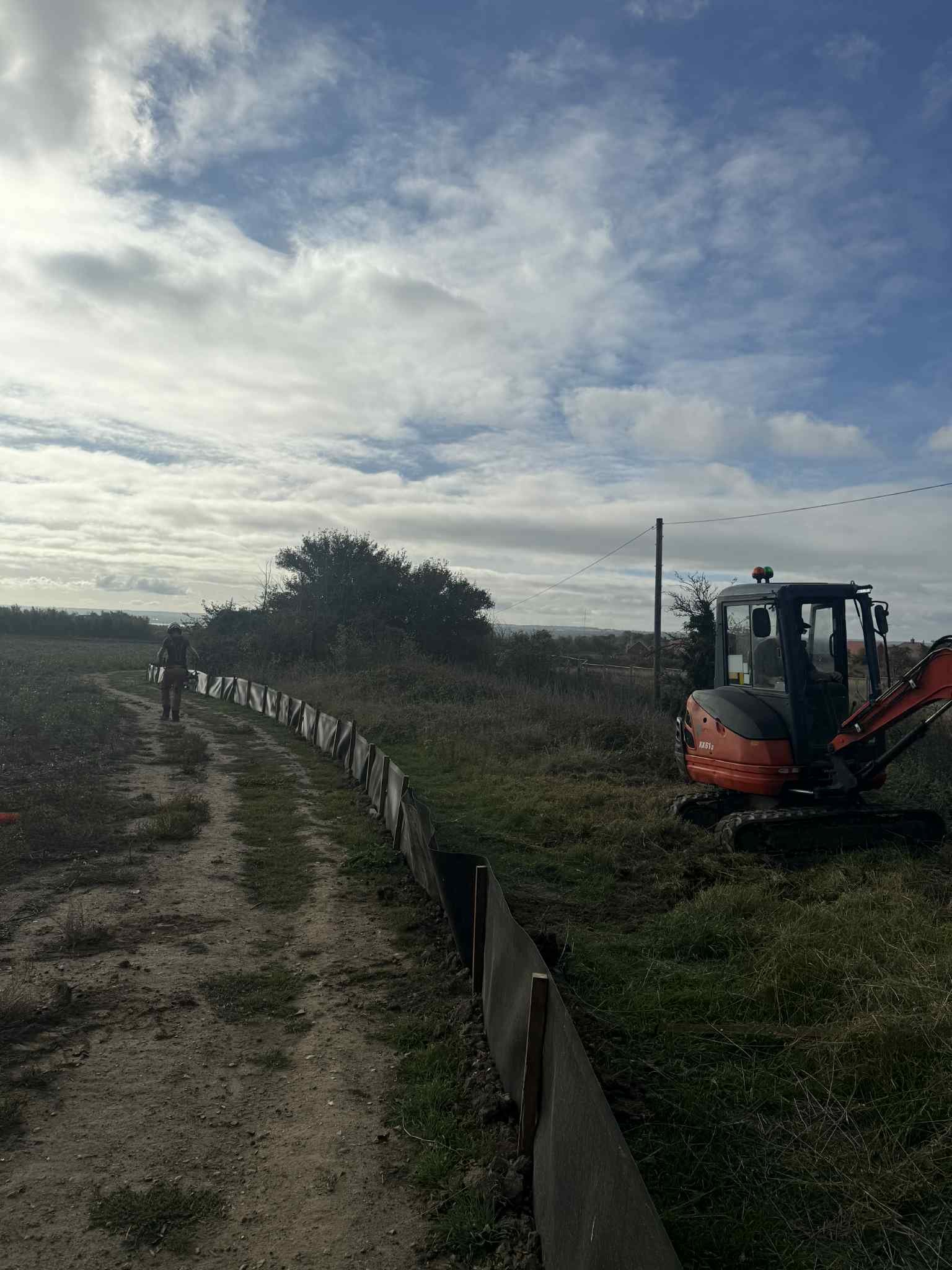 Bearsted Tree Surgeons – Maidstone Tree Surgeons in action cutting trees and hedge maintenance