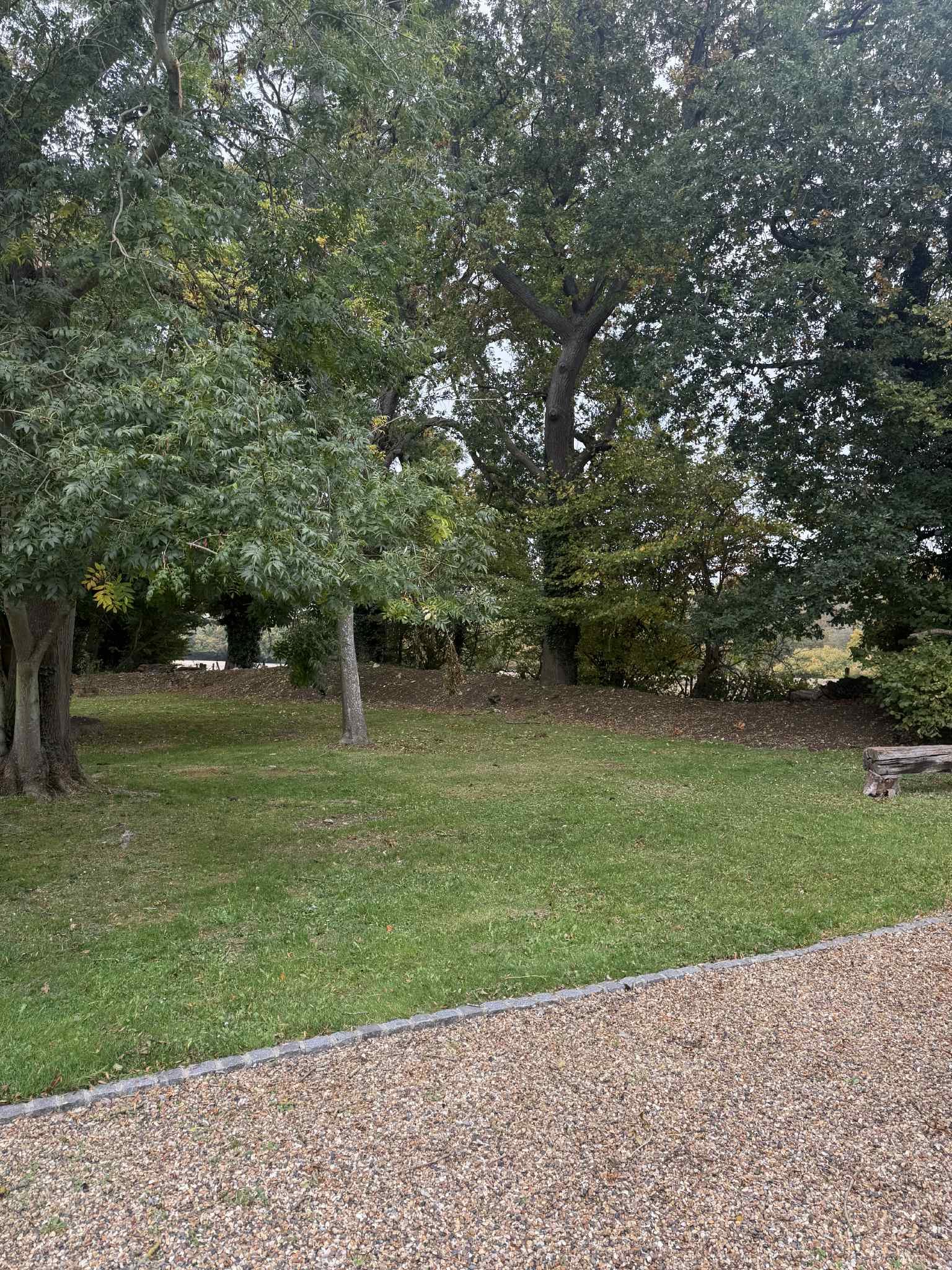 Bearsted Tree Surgeons – Maidstone Tree Surgeons in action cutting trees and hedge maintenance