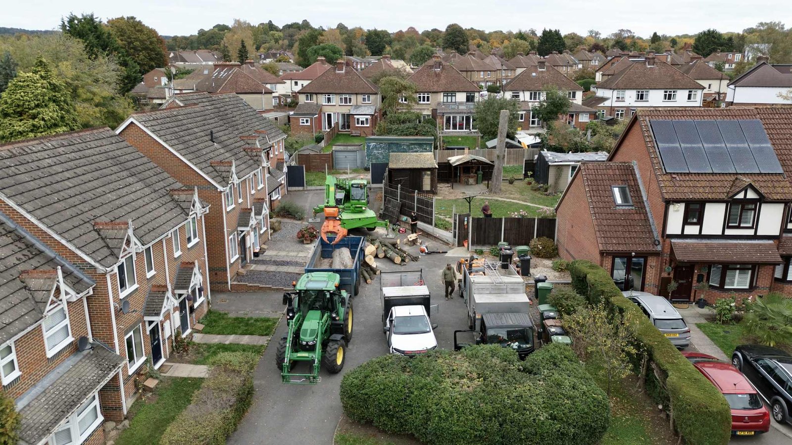 Tree Removal in Maidstone