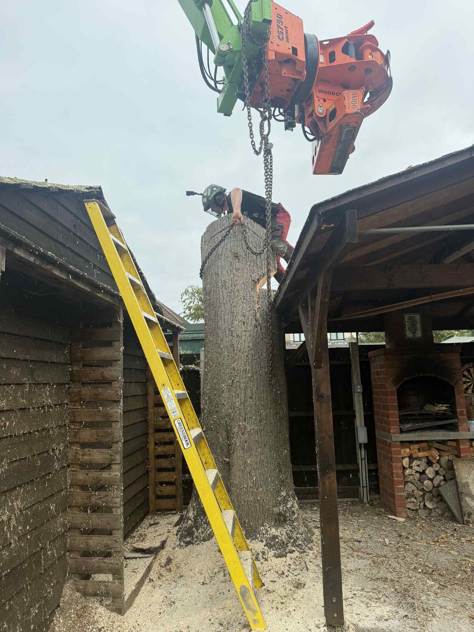 Maidstone Tree Surgeons Tree Surgery Trimming