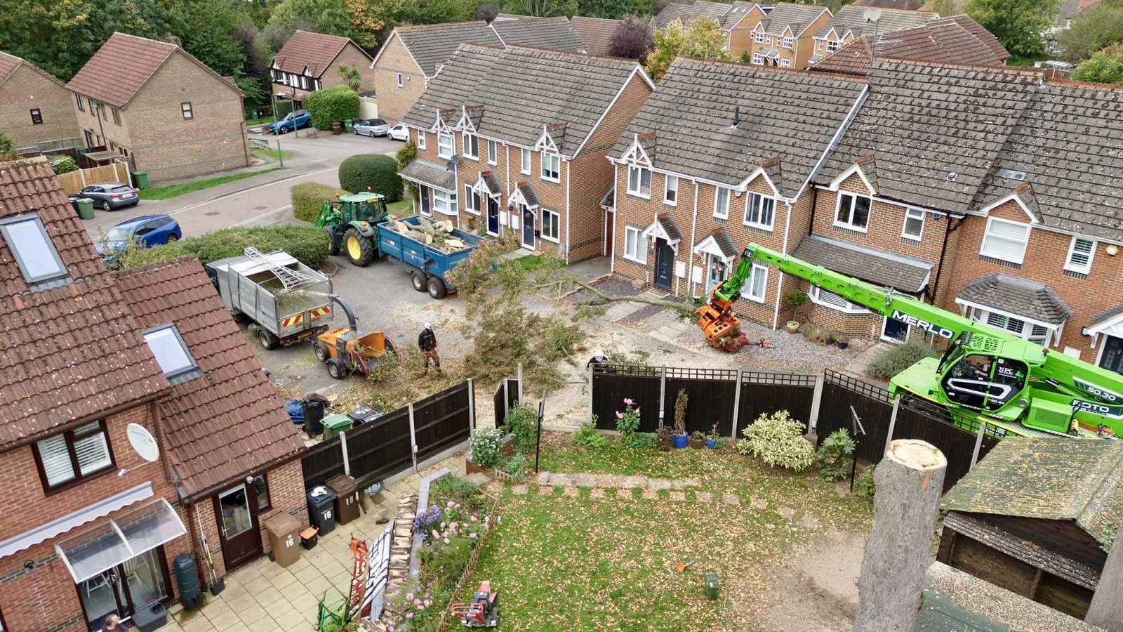 Maidstone Tree Surgeons Tree Surgery Trimming