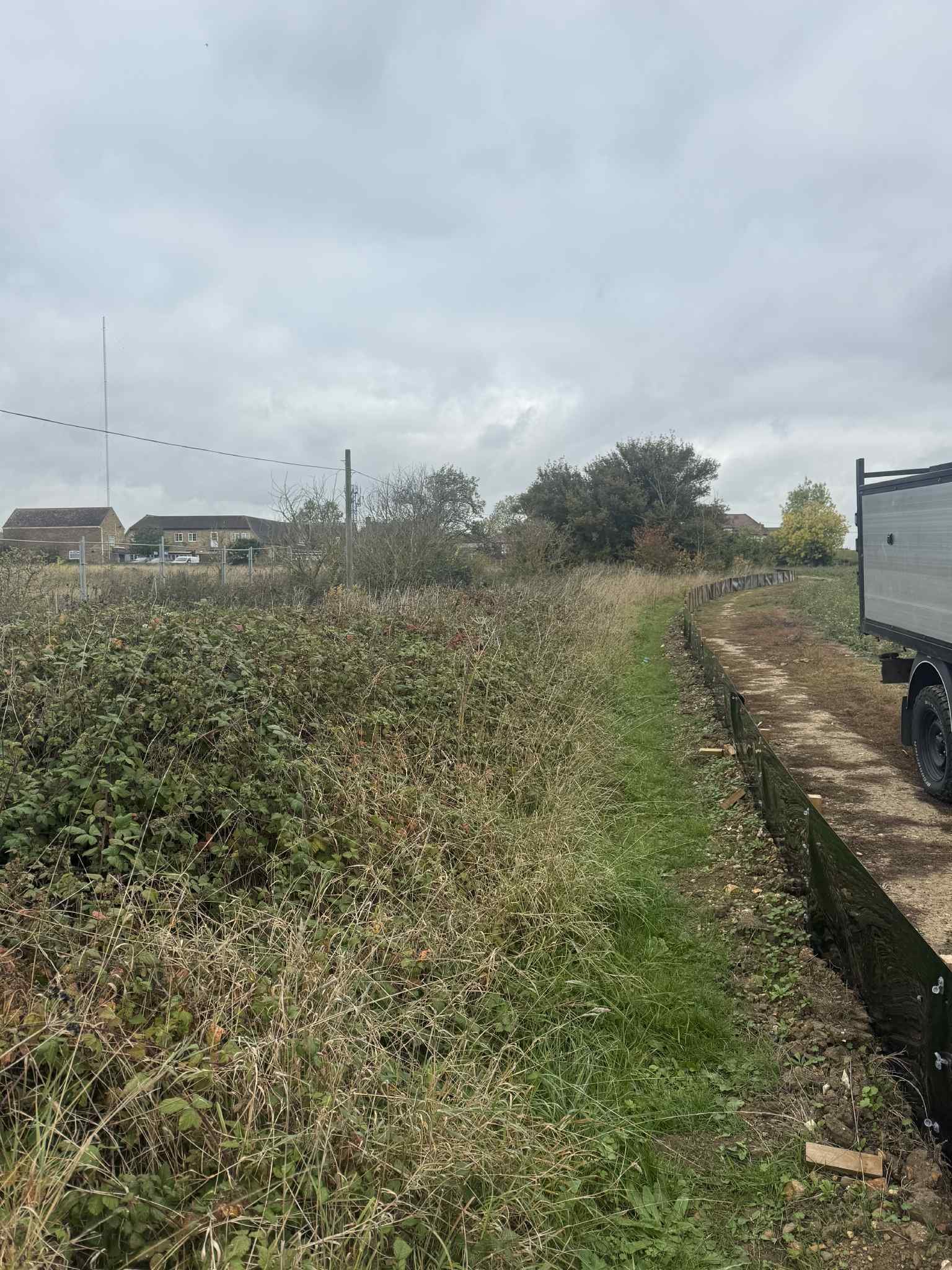 Maidstone Tree Surgeons Tree Surgery Trimming