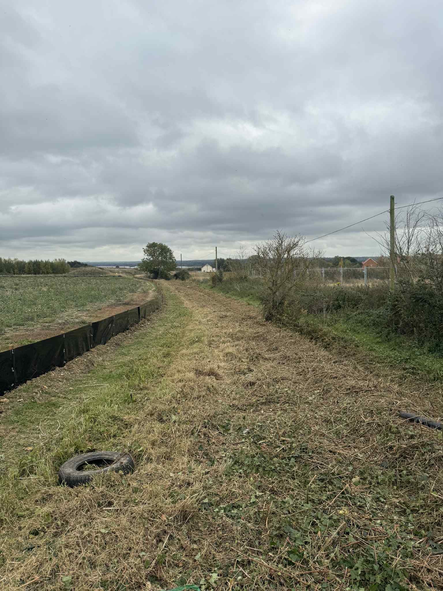 Maidstone Tree Surgeons Tree Surgery Trimming