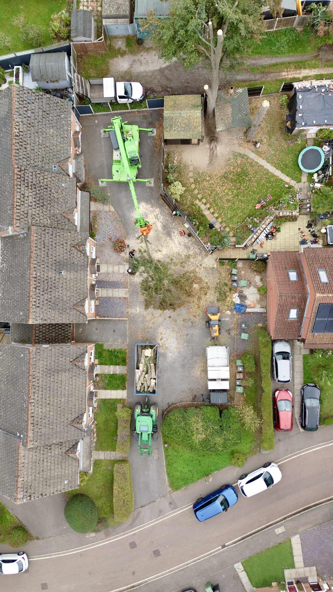 Maidstone Tree Surgeons Tree Surgery Trimming