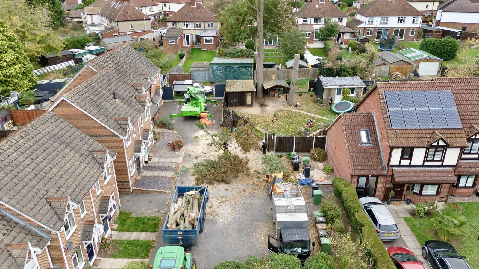 Maidstone Tree Surgeons Tree Surgery Trimming