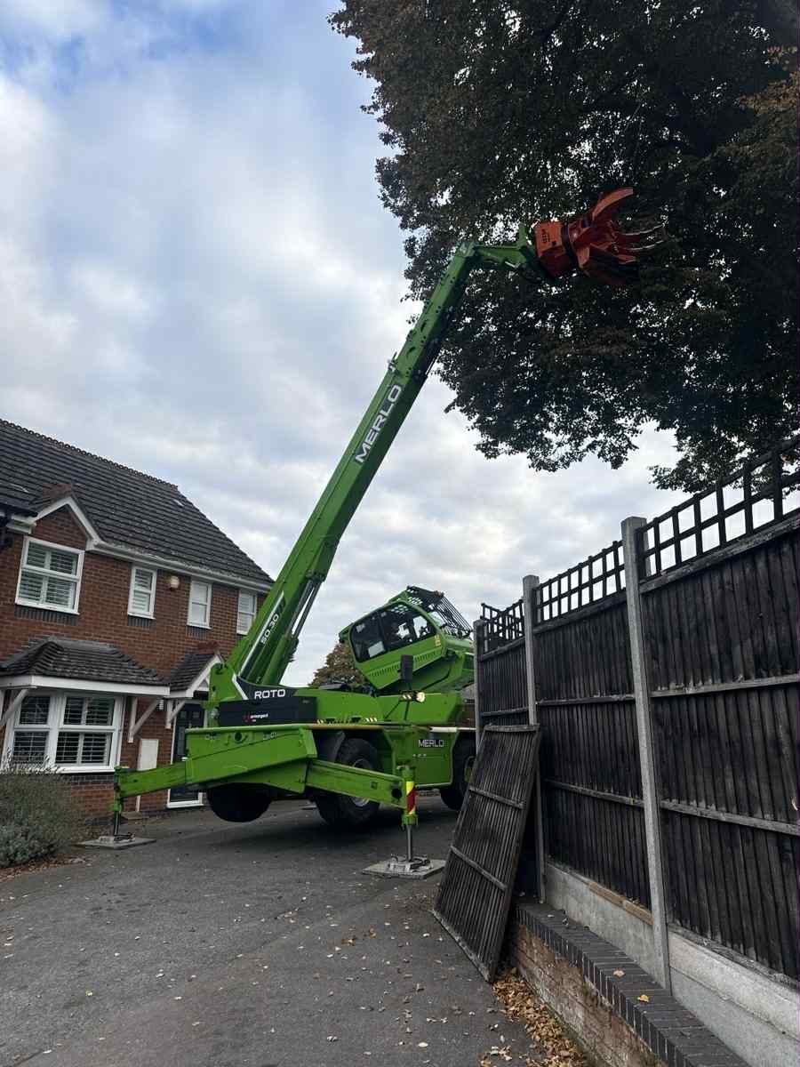 Maidstone Tree Surgeons Tree Surgery Trimming