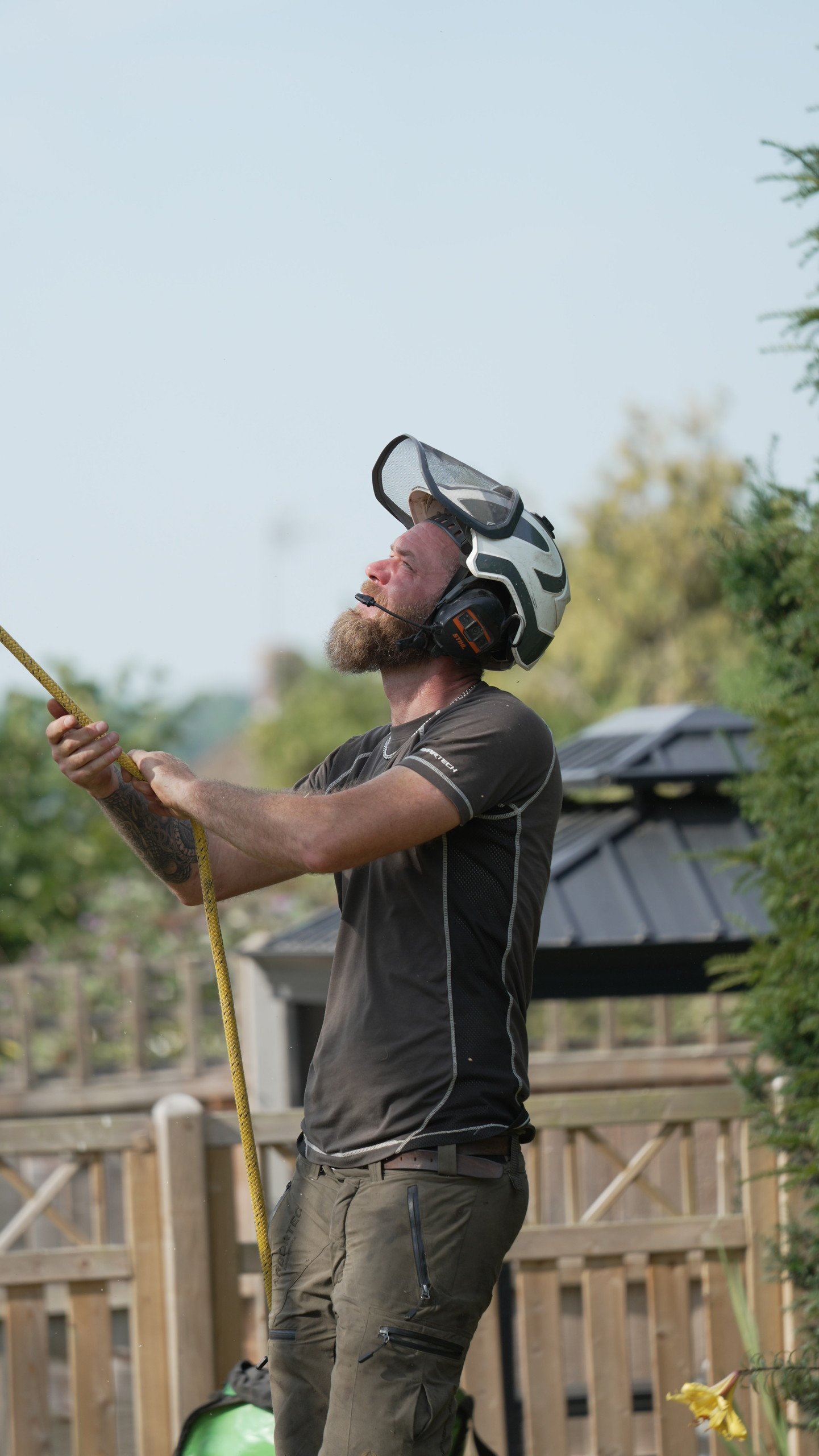 Maidstone Tree Surgeons arborist in a safety helmet and visor looking up at a tree